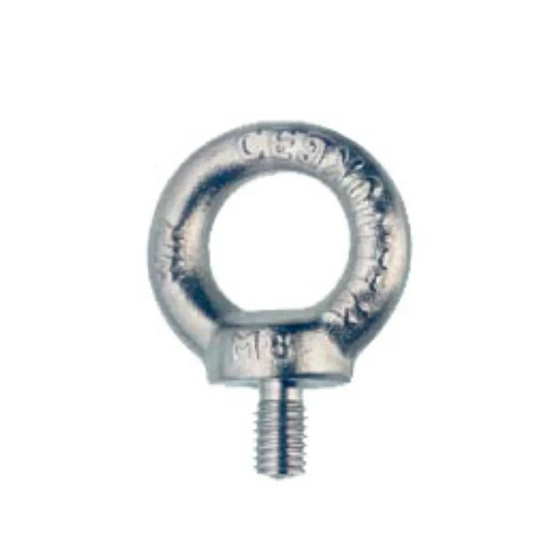 Parafuso Olhal em Aço Inox DIN 580 - Série 5551.6